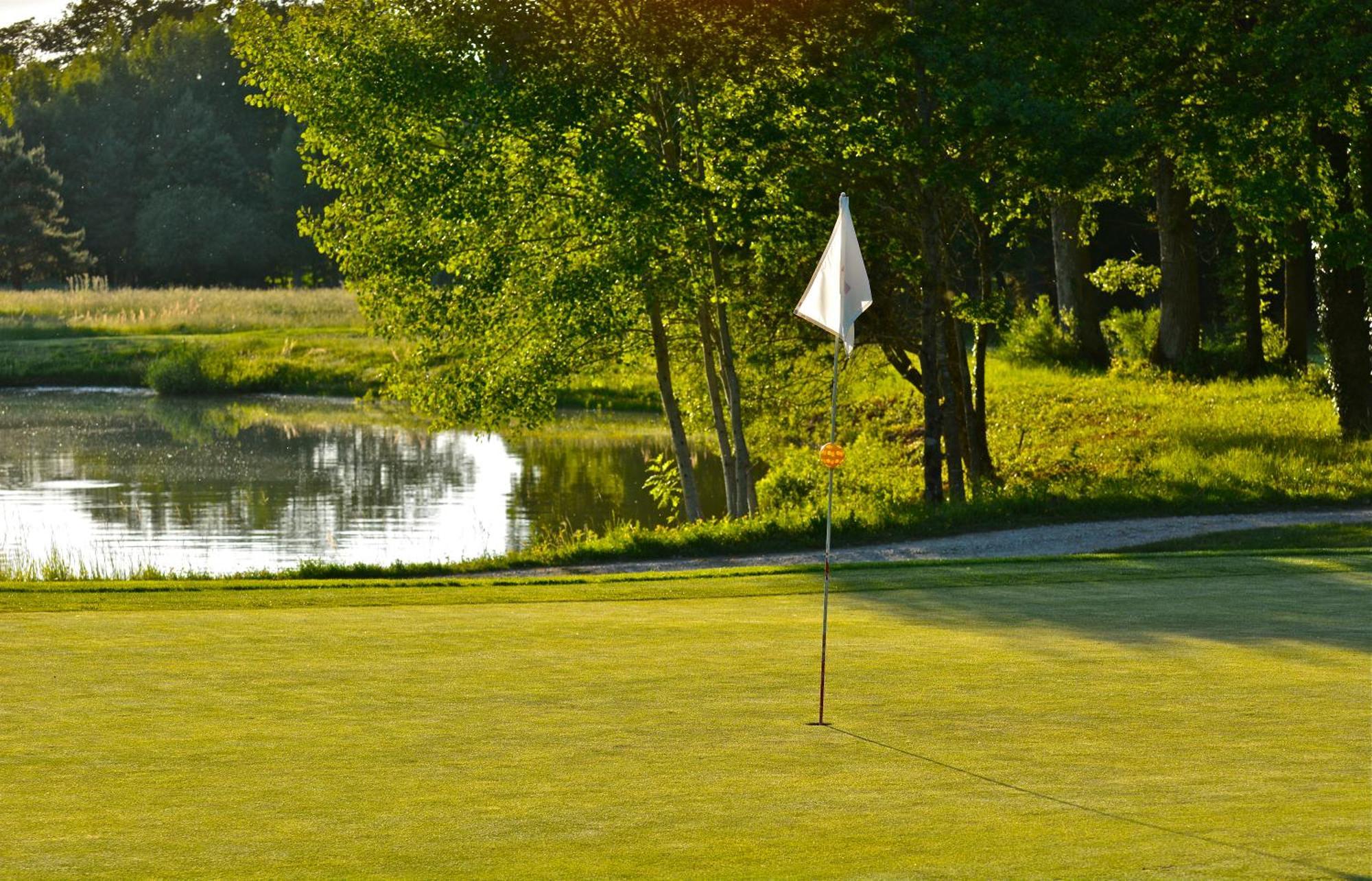 Domaine Du Roncemay - Hotel, Restaurants, Spa & Golf Aillant-sur-Tholon Eksteriør billede