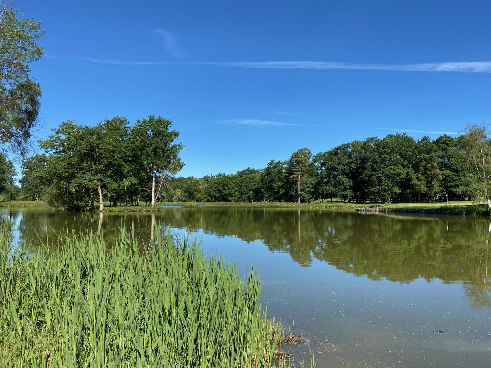 Domaine Du Roncemay - Hotel, Restaurants, Spa & Golf Aillant-sur-Tholon Eksteriør billede